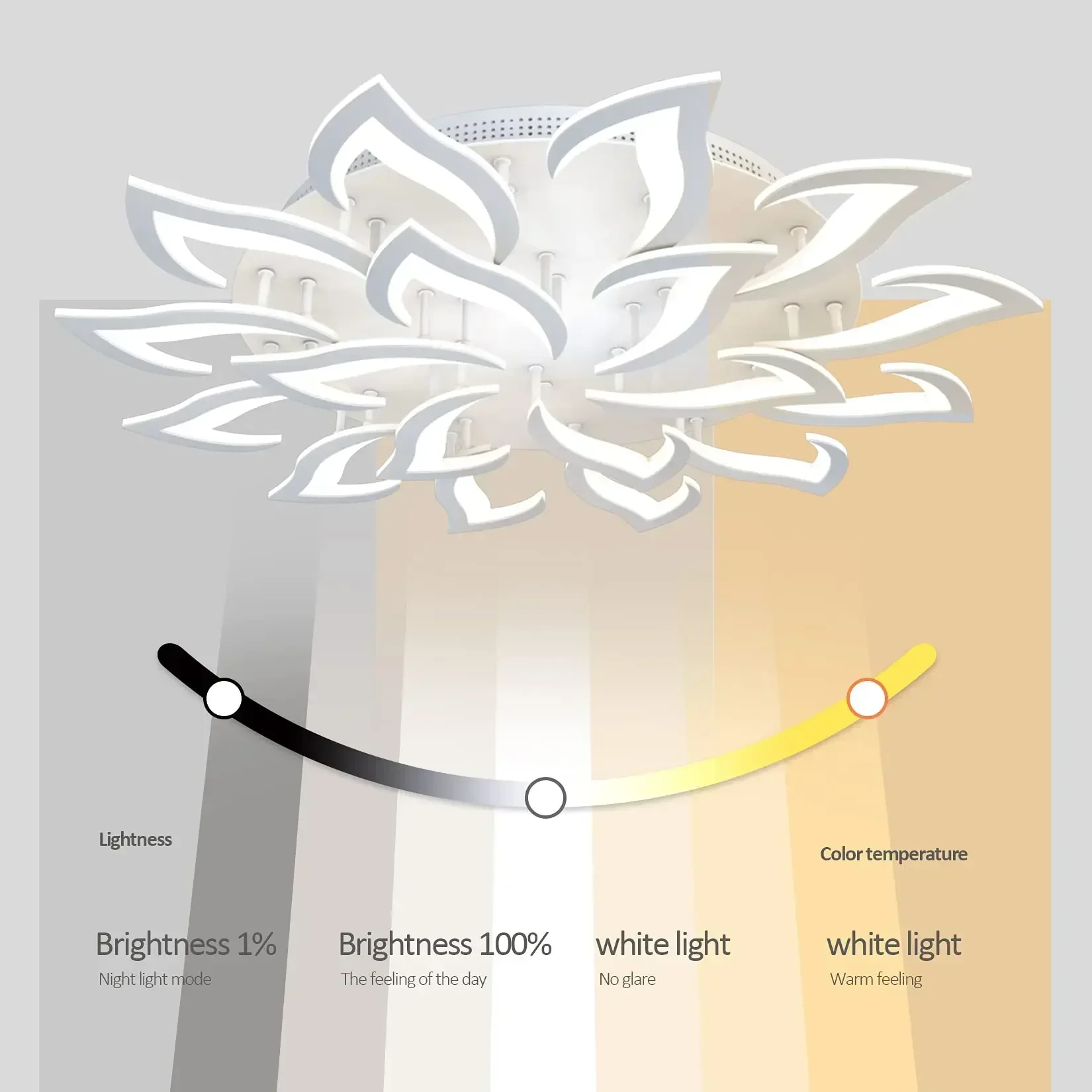 Desainer LED kelopak lampu gan - Interior Design Kitchen Modern ulasan dan harga